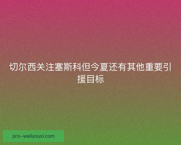 切尔西关注塞斯科但今夏还有其他重要引援目标